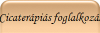 Cicater�pi�s foglalkoz�s